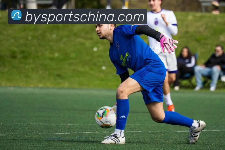 必一运动平台生态图